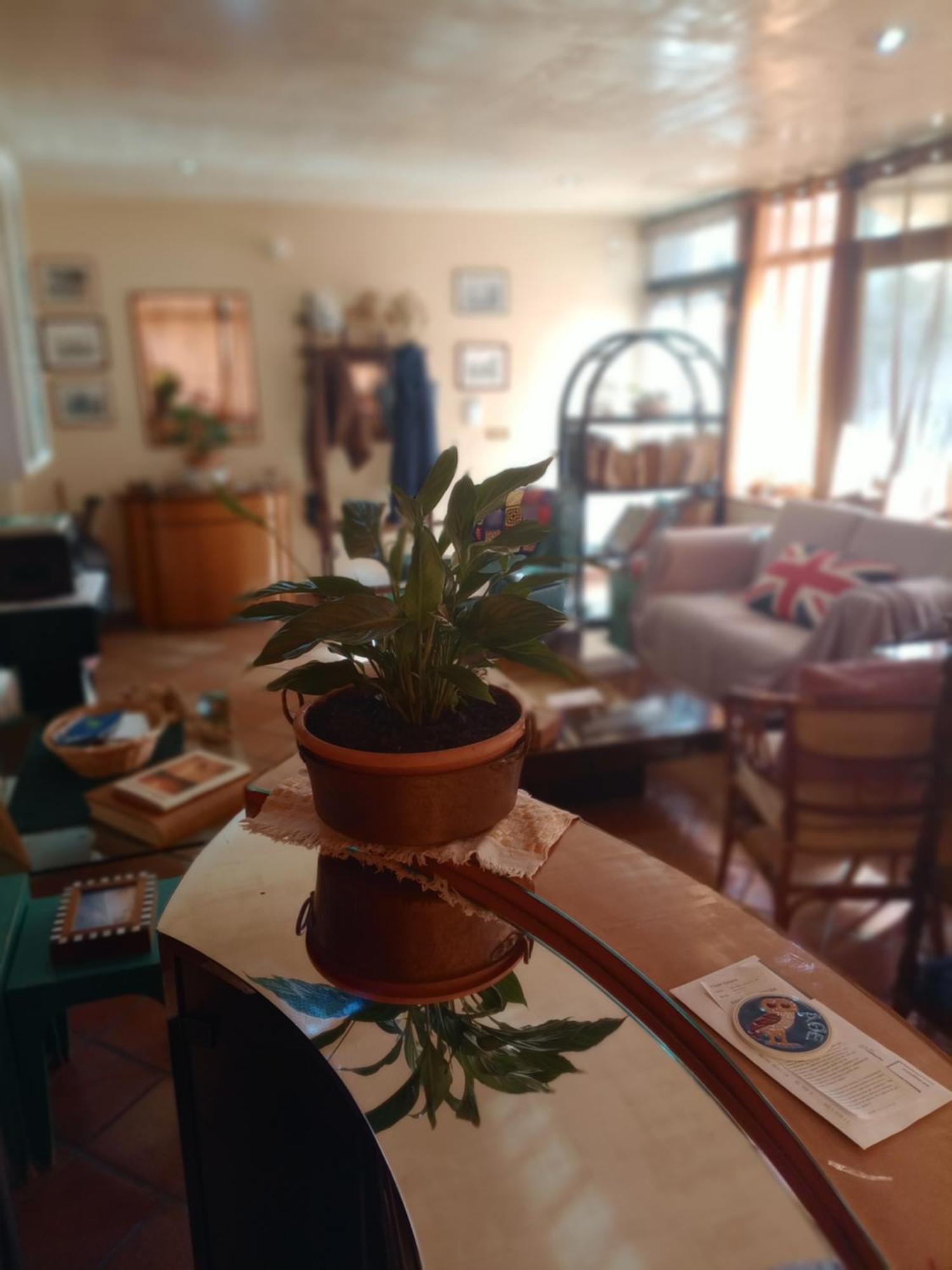 Casa Di Luca Acomodação com café da manhã Agrigento Exterior foto